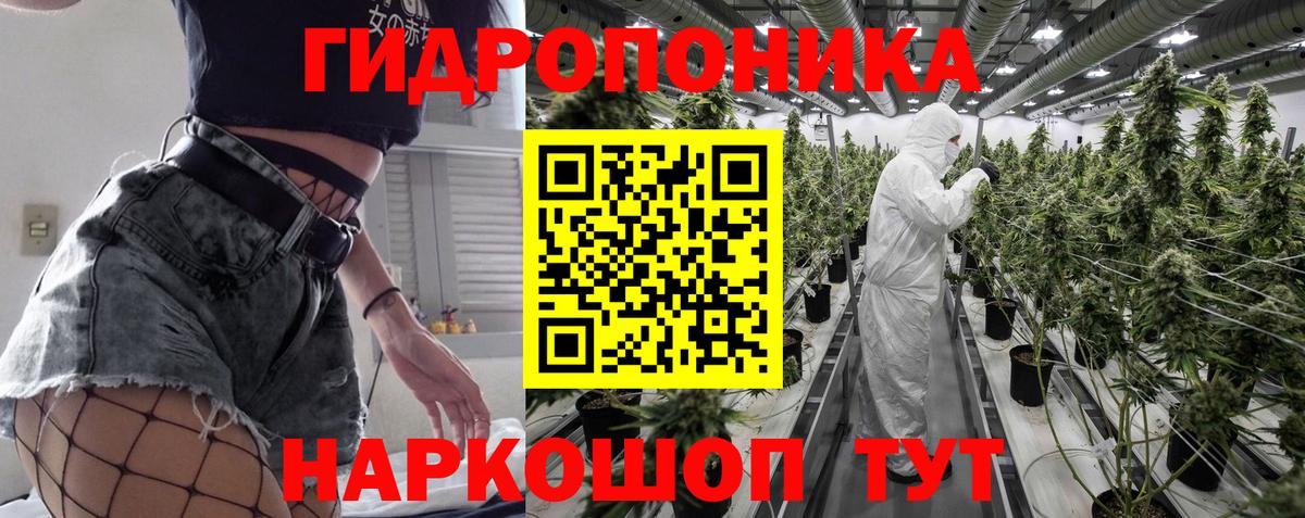 Бошки марихуана OG Kush Гатчина
